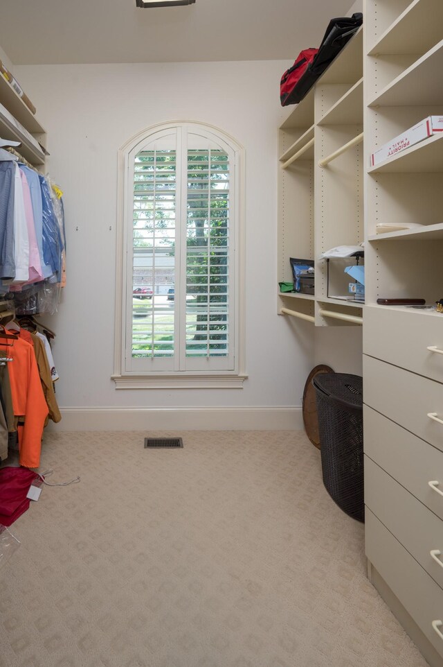9516 Wicklow Rd, Brentwood, TN 37027 - photo 51