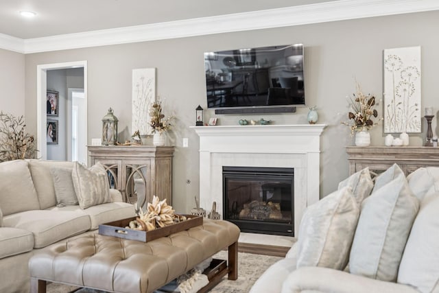 679 Overton Way, Spring Hill, TN 37174 - living area featuring a high end fireplace and crown molding