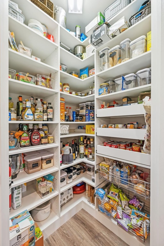 679 Overton Way, Spring Hill, TN 37174 - view of storage area