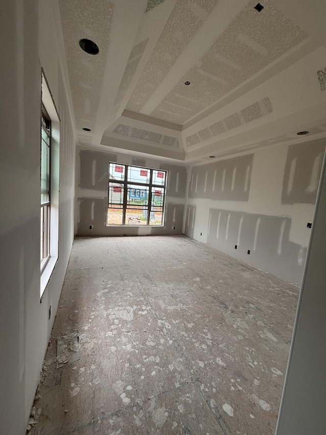 442 Spiderwort Dr, Clarksville, TN 37043 - unfurnished room with a tray ceiling