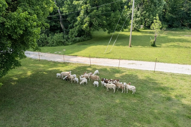 2300 Lee Rd, Spring Hill, TN 37174 - photo 5