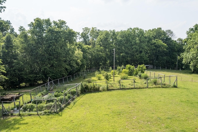2300 Lee Rd, Spring Hill, TN 37174 - photo 56