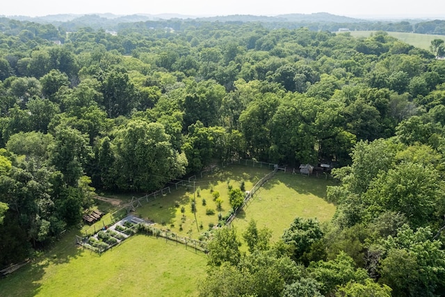 2300 Lee Rd, Spring Hill, TN 37174 - photo 8