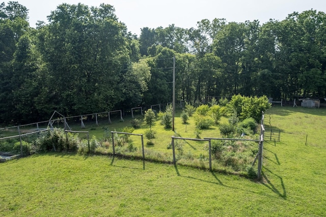 2300 Lee Rd, Spring Hill, TN 37174 - photo 67