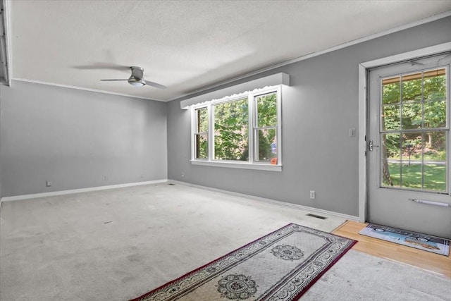 106 Ulcer Hollow Rd, Waverly, TN 37185 - carpeted spare room featuring plenty of natural light, a ceiling fan, a textured ceiling, and ornamental molding
