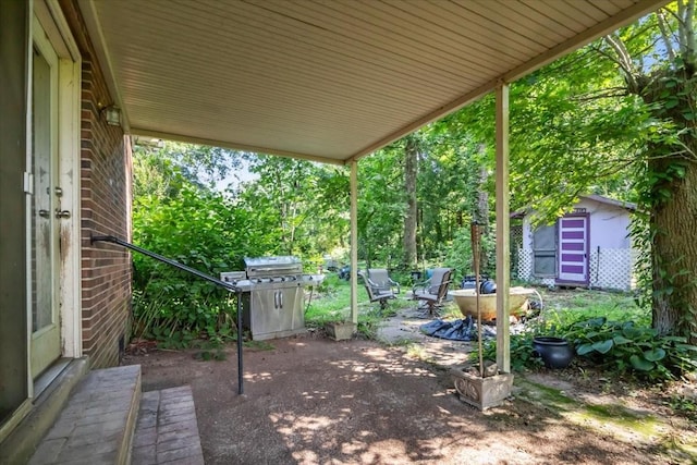 106 Ulcer Hollow Rd, Waverly, TN 37185 - view of patio / terrace with a storage unit and a grill