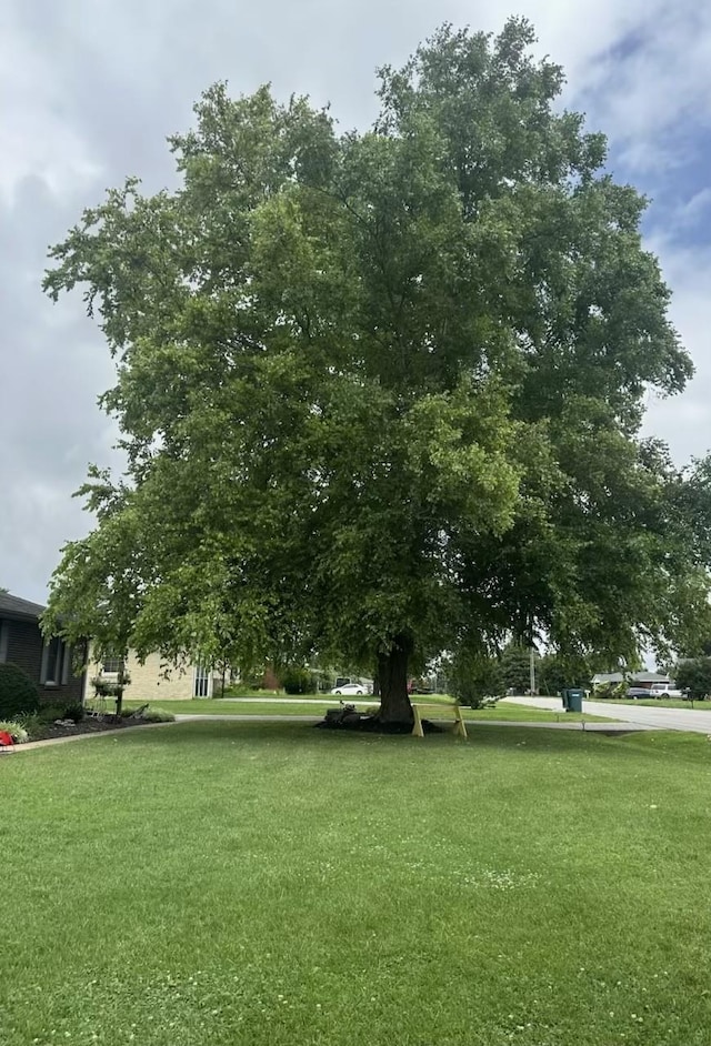 412 Winwood Dr, Lebanon, TN 37087 - view of community featuring a lawn