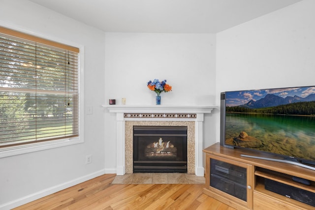 3899 Sadlersville Rd, Adams, TN 37010 - detailed view of wood finished floors and a tile fireplace