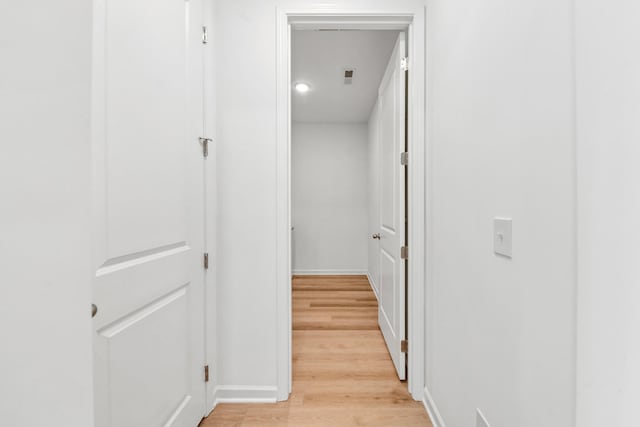 2337 Williamsport Lndg, Columbia, TN 38401 - hallway with light wood finished floors and baseboards