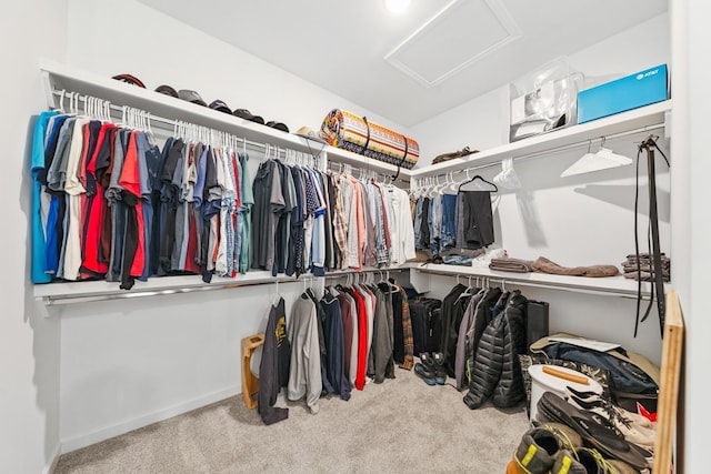 2337 Williamsport Lndg, Columbia, TN 38401 - spacious closet featuring carpet flooring and attic access