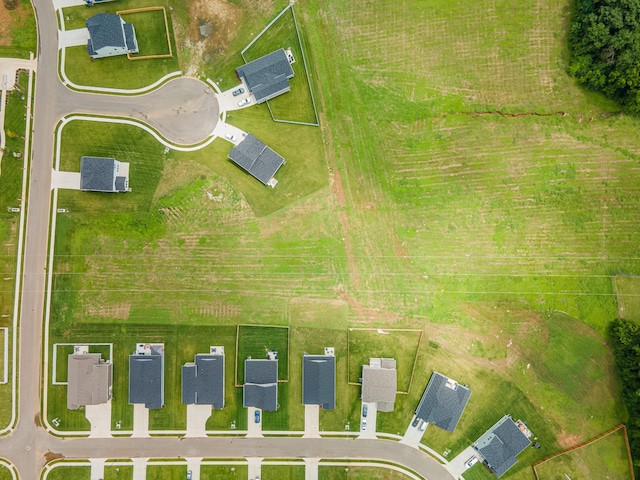 2337 Williamsport Lndg, Columbia, TN 38401 - aerial view
