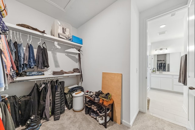 2337 Williamsport Lndg, Columbia, TN 38401 - spacious closet featuring carpet