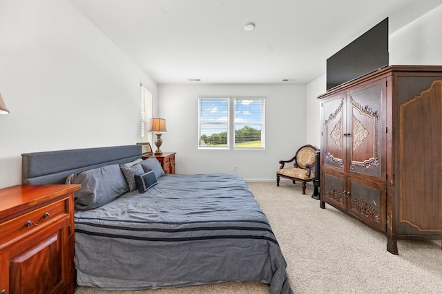 2337 Williamsport Lndg, Columbia, TN 38401 - bedroom with light colored carpet