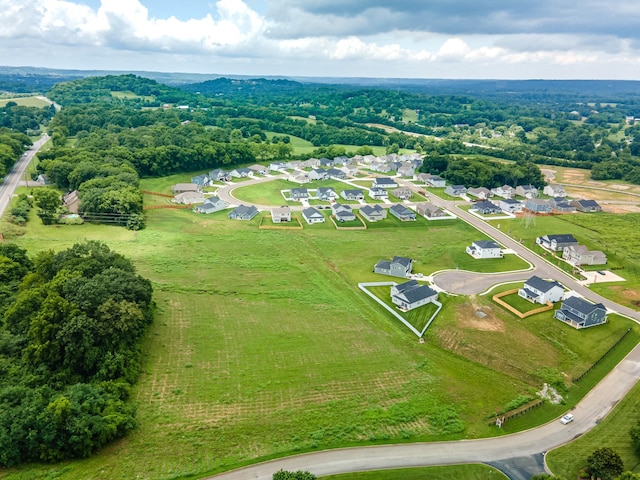 2337 Williamsport Lndg, Columbia, TN 38401 - aerial view