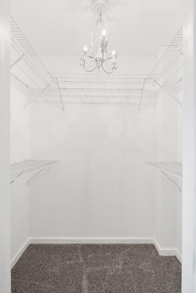 117 Maple Way N, Hendersonville, TN 37075 - spacious closet with carpet flooring and a chandelier