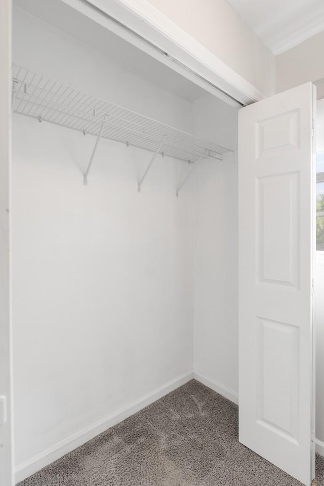 117 Maple Way N, Hendersonville, TN 37075 - view of closet