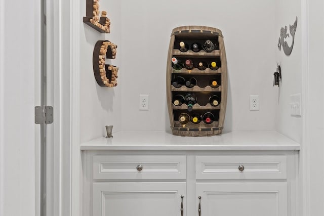 1055 Sumner Grv, Spring Hill, TN 37174 - view of wine cellar