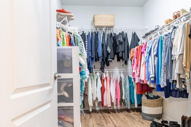 1055 Sumner Grv, Spring Hill, TN 37174 - spacious closet featuring wood finished floors