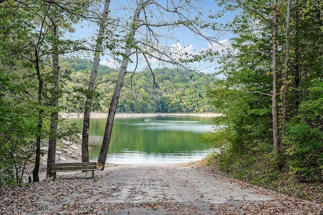 375 Lakeside Dr, Smithville, TN 37166 - photo 44