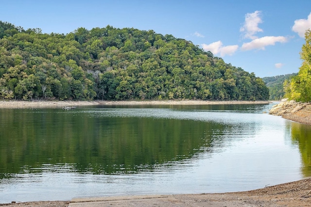 375 Lakeside Dr, Smithville, TN 37166 - photo 45