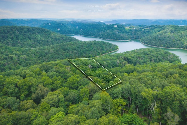 375 Lakeside Dr, Smithville, TN 37166 - photo 47