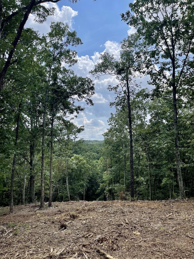 2355 Richland Harbor Rd, Waverly, TN 37185 - photo 8