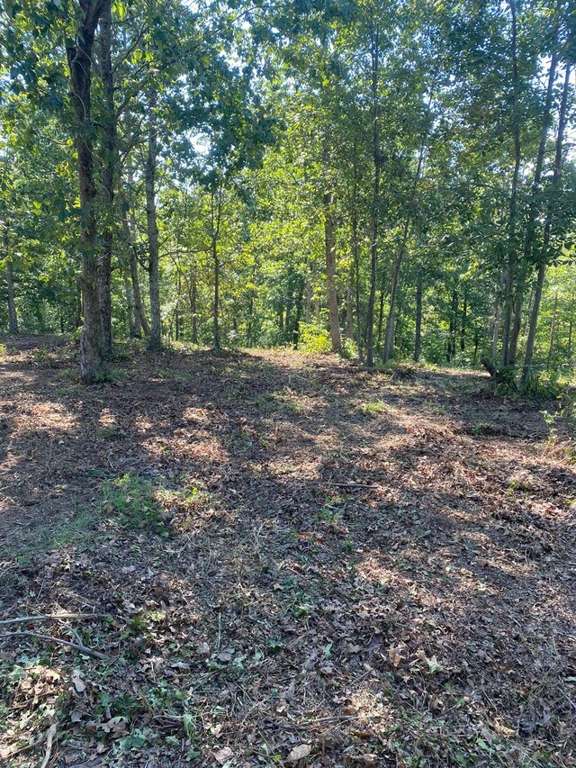 2355 Richland Harbor Rd, Waverly, TN 37185 - photo 16