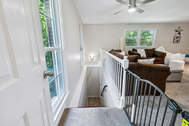 9505 Inavale Ln, Brentwood, TN 37027 - staircase featuring carpet and ceiling fan