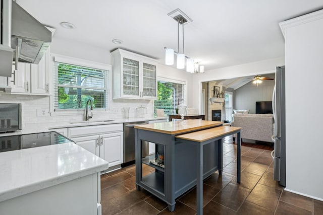 9505 Inavale Ln, Brentwood, TN 37027 - kitchen featuring stainless steel appliances, butcher block counters, plenty of natural light, and exhaust hood