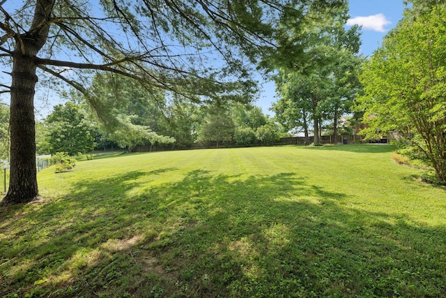 9505 Inavale Ln, Brentwood, TN 37027 - view of yard