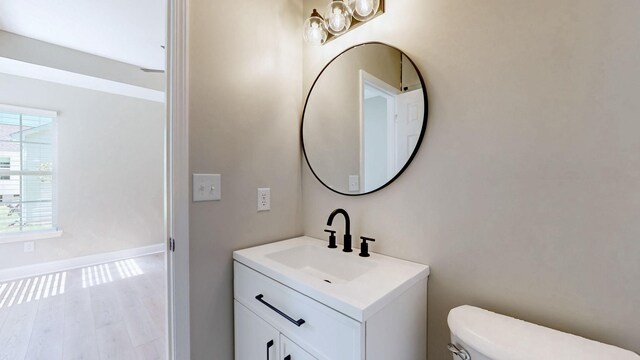 7313 Horn Tavern Ct, Fairview, TN 37062 - bathroom with vanity and wood finished floors