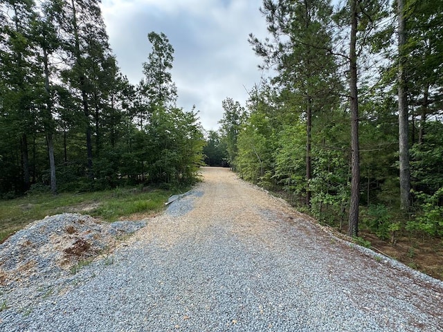 1295 Old Natchez Trace Trl, Camden, TN 38320 - view of street with a view of trees