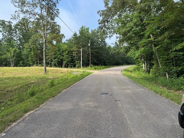 1295 Old Natchez Trace Trl, Camden, TN 38320 - view of asphalt street with a forest view