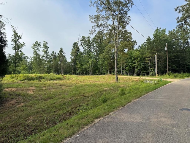 1295 Old Natchez Trace Trl, Camden, TN 38320 - view of asphalt road featuring a forest view