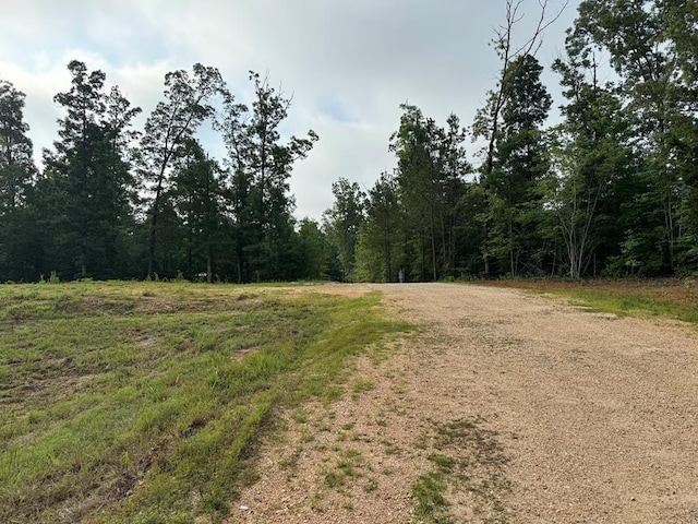 1295 Old Natchez Trace Trl, Camden, TN 38320 - view of road with a view of trees