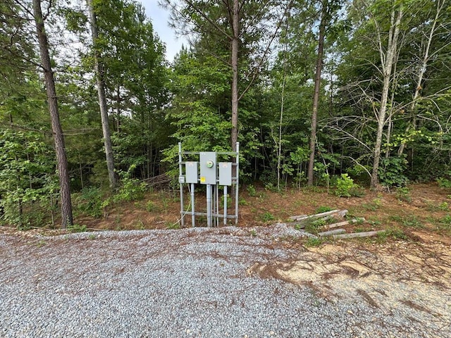 1295 Old Natchez Trace Trl, Camden, TN 38320 - view of yard with a wooded view and driveway