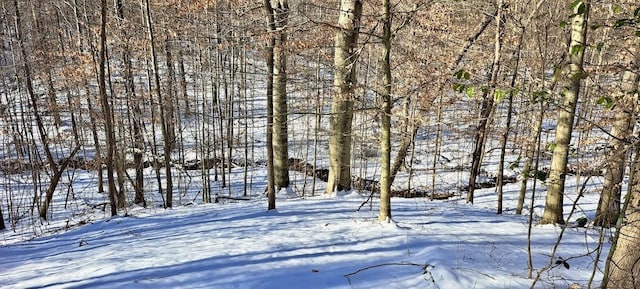1295 Old Natchez Trace Trl, Camden, TN 38320 - view of yard covered in snow