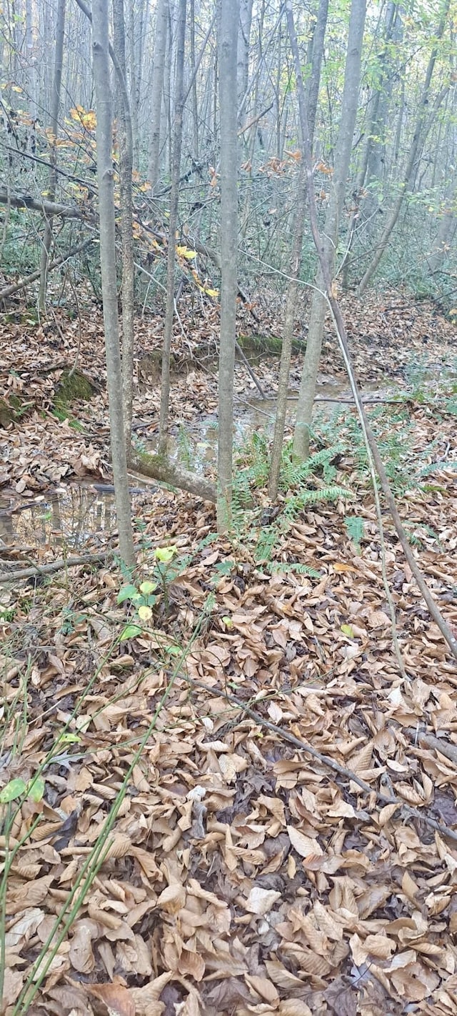 1295 Old Natchez Trace Trl, Camden, TN 38320 - view of undeveloped land