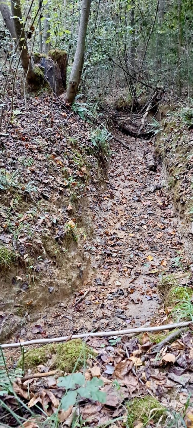 1295 Old Natchez Trace Trl, Camden, TN 38320 - view of nature