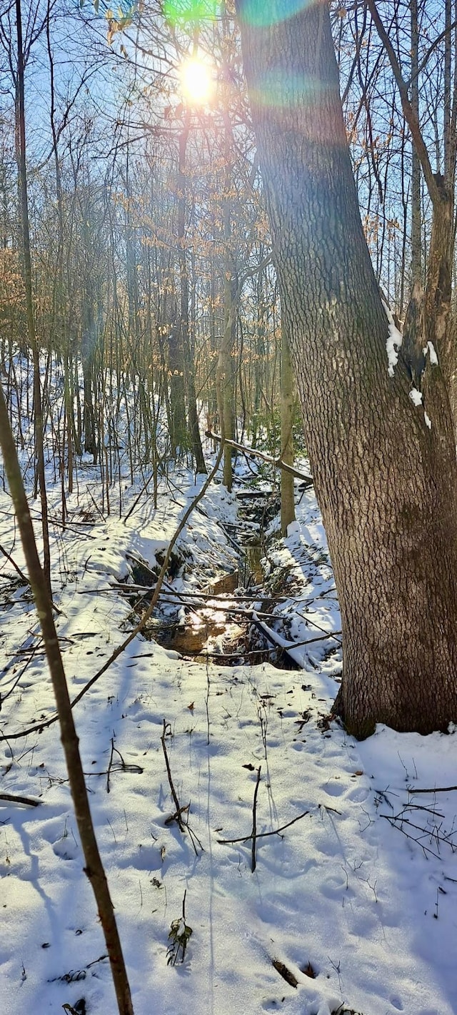 1295 Old Natchez Trace Trl, Camden, TN 38320 - view of snow covered land