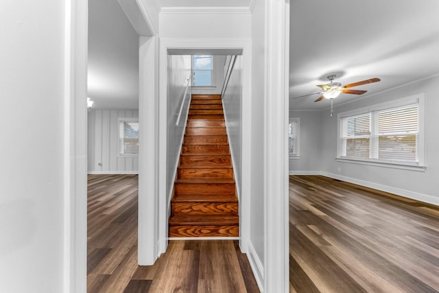 1200 Mill St, Pulaski, TN 38478 - stairs with wood finished floors, crown molding, and ceiling fan