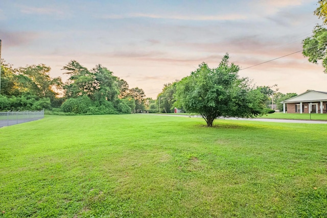 1200 Mill St, Pulaski, TN 38478 - view of yard