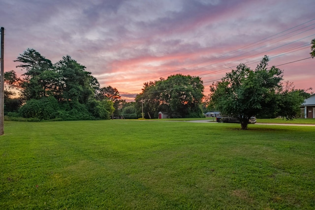 1200 Mill St, Pulaski, TN 38478 - view of property's community featuring a lawn