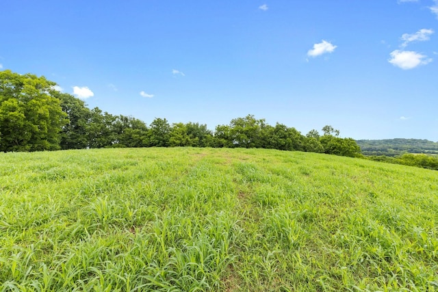 1914 Thompsons Station Rd W, Thompsons Station, TN 37179 - photo 18