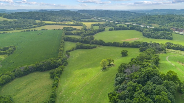 1914 Thompsons Station Rd W, Thompsons Station, TN 37179 - photo 26