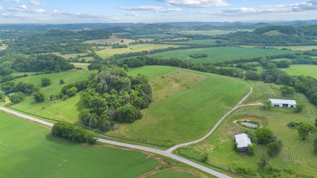 1914 Thompsons Station Rd W, Thompsons Station, TN 37179 - photo 13