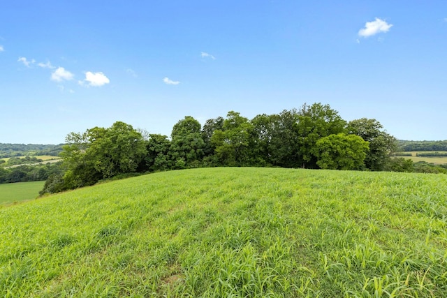1914 Thompsons Station Rd W, Thompsons Station, TN 37179 - photo 11