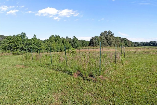 1030 Upper Creek Rd, Vanleer, TN 37181 - view of yard with a view of rural / pastoral area and a view of trees