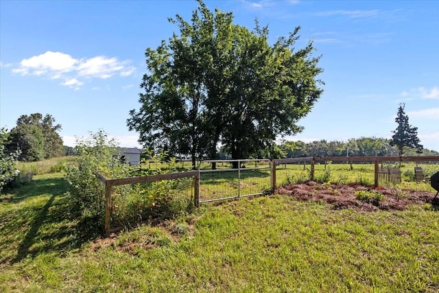 1030 Upper Creek Rd, Vanleer, TN 37181 - view of yard with a view of rural / pastoral area