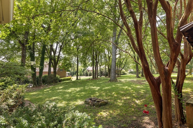 7075 Willowick Dr, Brentwood, TN 37027 - view of grassy yard
